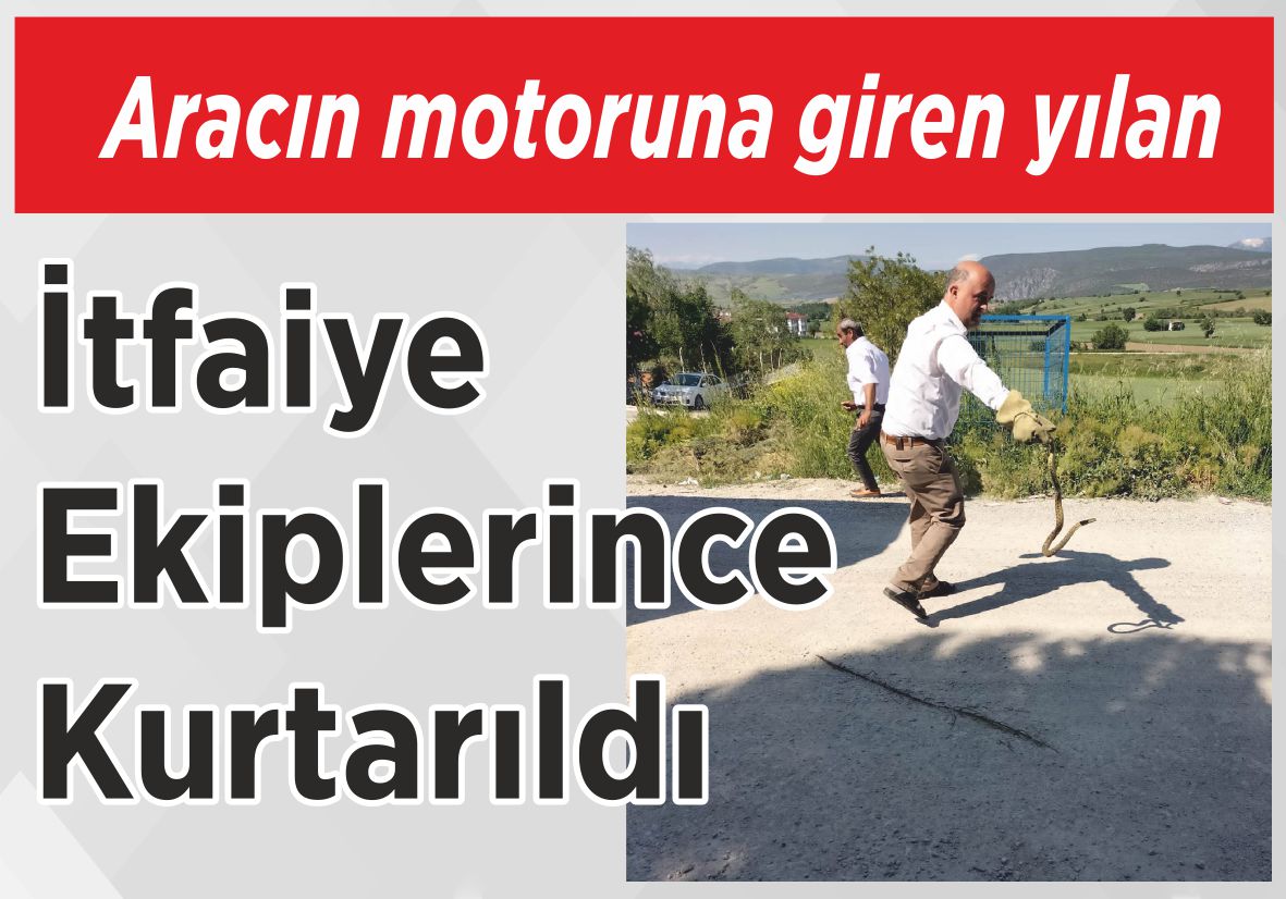 Aracın motoruna giren yılan İtfaiye Ekiplerince Kurtarıldı