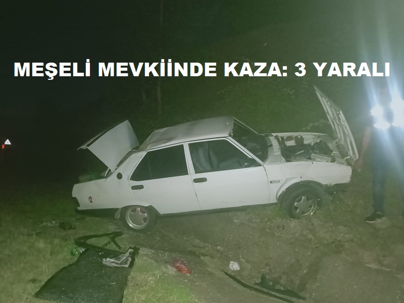 Meşeli Mevkiinde kaza: 3 Yaralı