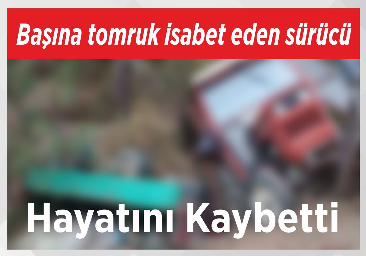 Başına tomruk isabet eden sürücü Hayatını Kaybetti