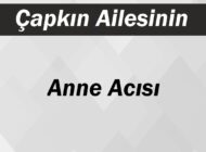 Çapkın Ailesinin Anne Acısı