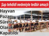 Şap tehdidi nedeniyle tedbir amaçlı Hayvan Pazarı Süresiz Olarak Kapatıldı