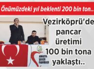 Önümüzdeki yıl beklenti 200 bin ton.. Vezirköprü’de pancar üretimi 100 bin tona yaklaştı..