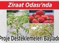 Ziraat Odası’nda Proje Desteklemeleri Başladı