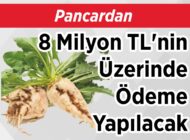 Pancardan 8 Milyon TL’nin Üzerinde Ödeme Yapılacak