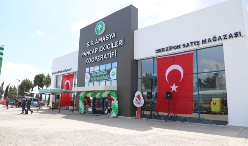 Amasya Pancar Ekicileri Kooperatifi Seçimi Hızlanıyor